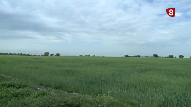 Tres pueblos de Valladolid presentan alegaciones contra la instalación de una planta de biogás
