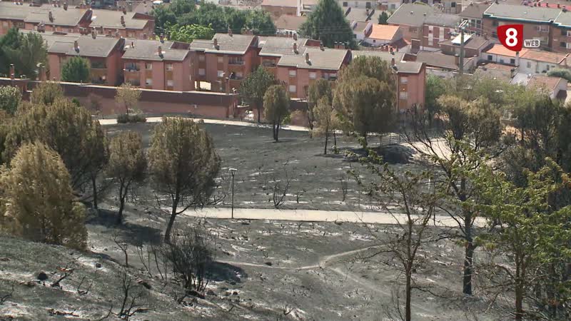 El incendio de Íscar controlado pero aún humeante, quema 178 hectáreas