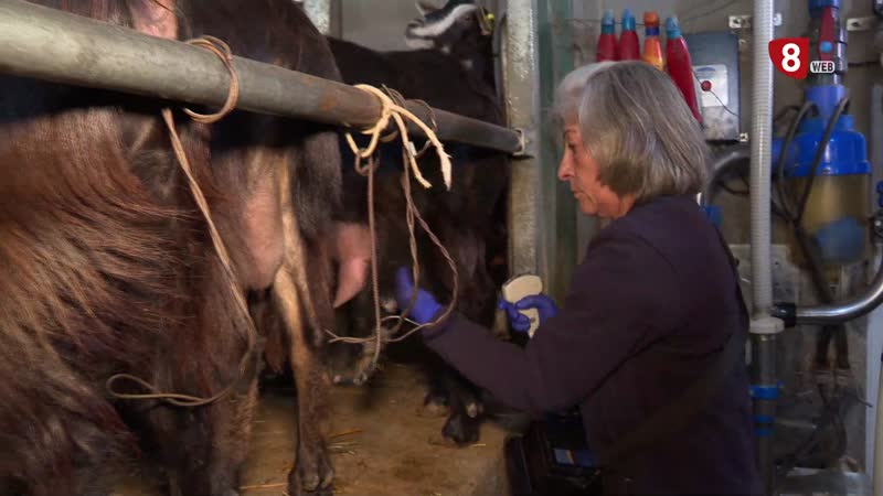 Medio centenar de emprenderoas rurales se citan en Medina deRioseco