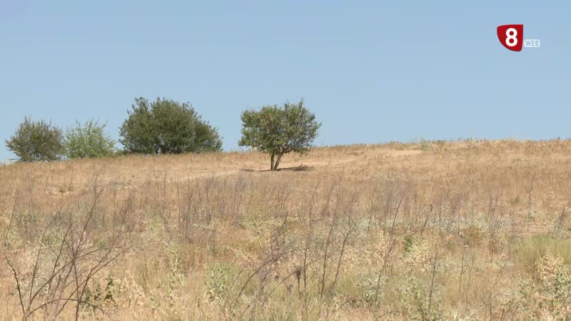El Ayuntamiento de Valladolid pide a Casa 47 que construya las 2.000 viviendas que caben en sus terrenos entre Parquesol y Arroyo de la Encomienda
