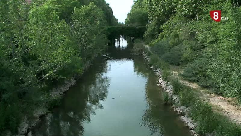 Ecologistas en Acción pide instalar mallas en las riberas del Esgueva para reducir su contaminación