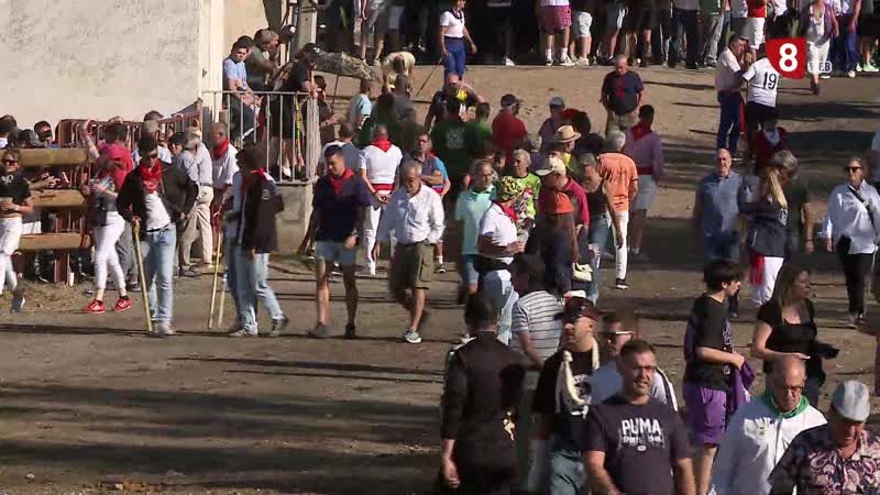 Rápido y limpio Toro de la Vega en Tordesillas