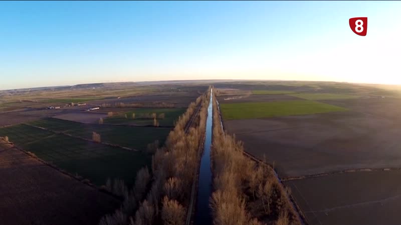 La Diputación de Valladolid pide a la Confederación que paralice la tala de árboles en el Canal de Castilla