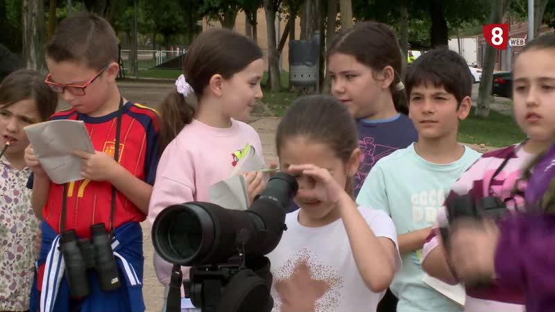 Programa educativo y medioambiental para conocer el entorno y protegerlo