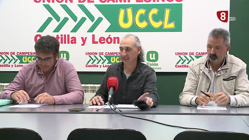 UCCL pide inspecciones de oficio de la consejería para que se pague lo que corresponde en la uva