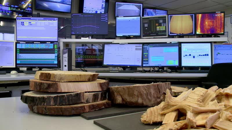 Sonae Arauco implanta un parque fotovoltaico de 10 hectáreas en Valladolid