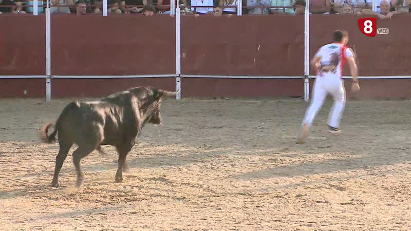 ¿Qué requisitos deben cumplir los Ayuntamientos pata organizar un concurso de cortes?
