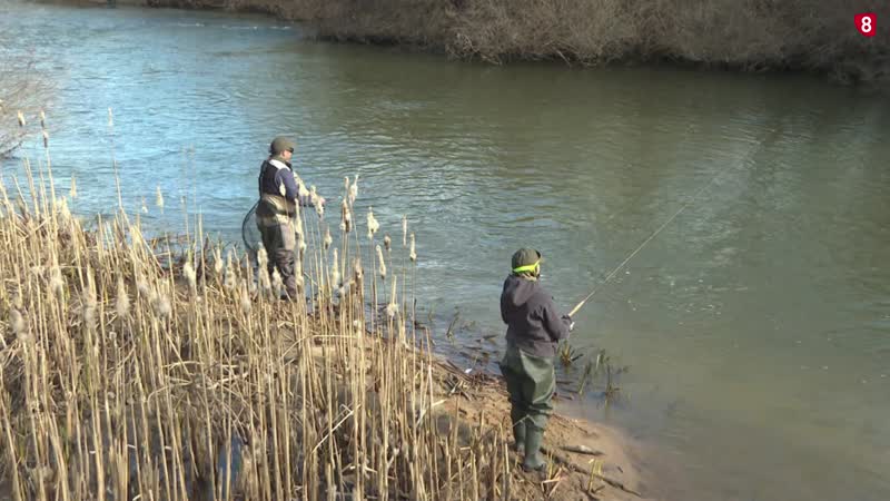 El Campano abre la veda de la trucha en Soria