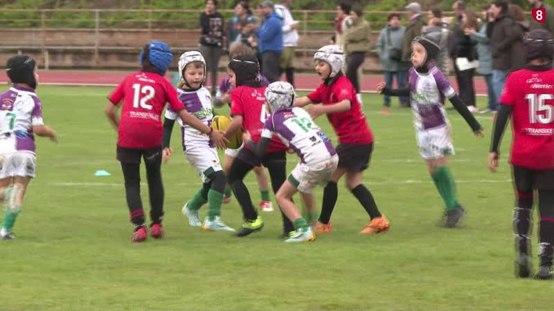 El futuro del rugby está en las escuelas