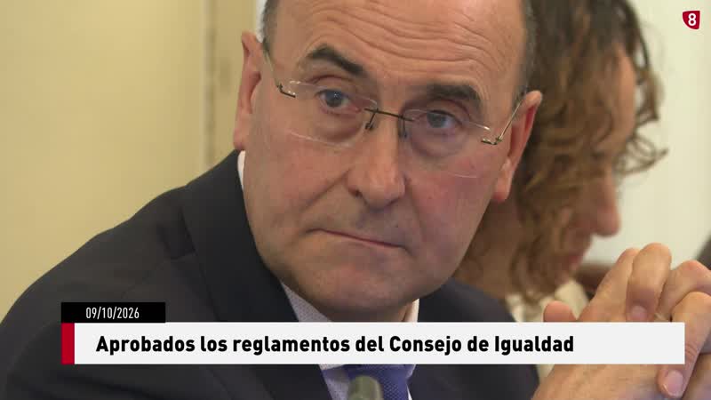 Aprobados los reglamentos del Consejo de Igualdad
