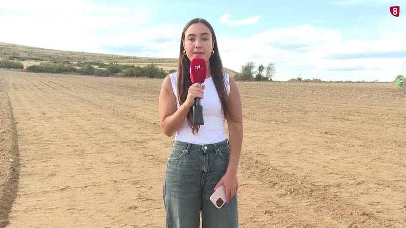 El campo se levanta por la situación del sector cerealista