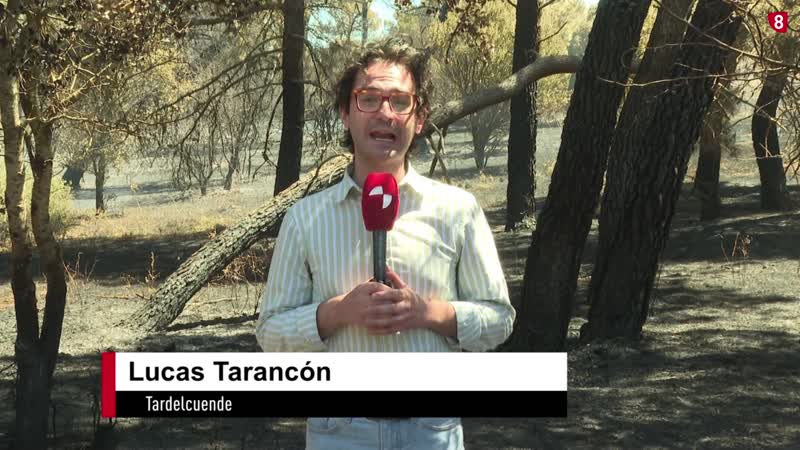 Controlado el incendio de Tardelcuente tras quemar 5 hectáreas de pinar