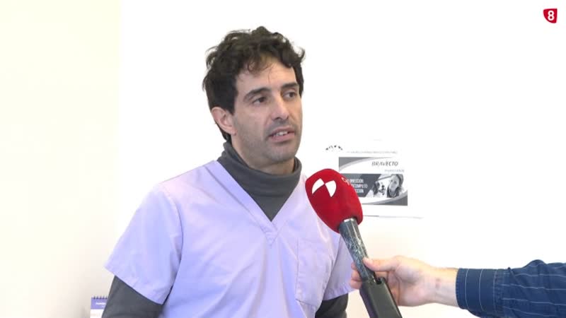 Cómo proteger a nuestras mascotas de los ruidos de Año Nuevo