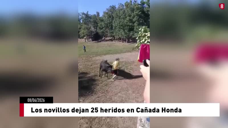Los novillos dejan 25 heridos en Cañada Honda