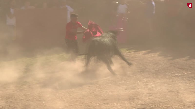 Los jurados ya conocen a sus novillos de San Juan