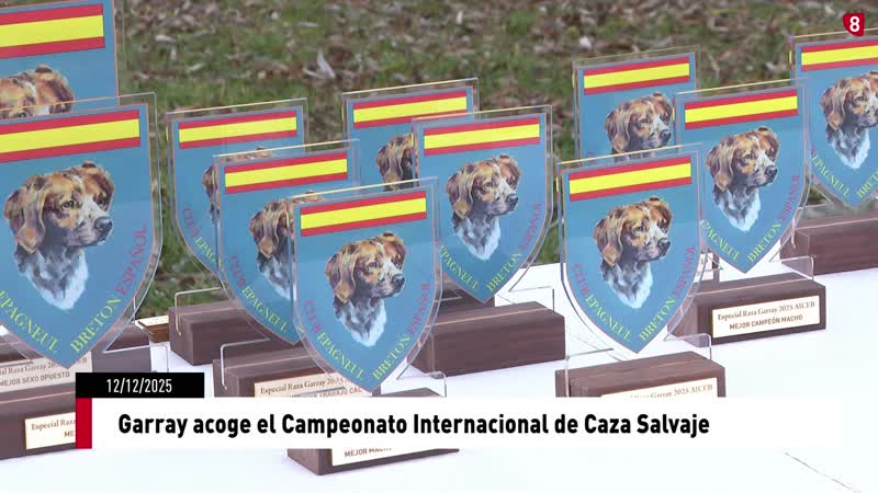 Garray acoge el Campeonato Internacional de Caza Salvaje