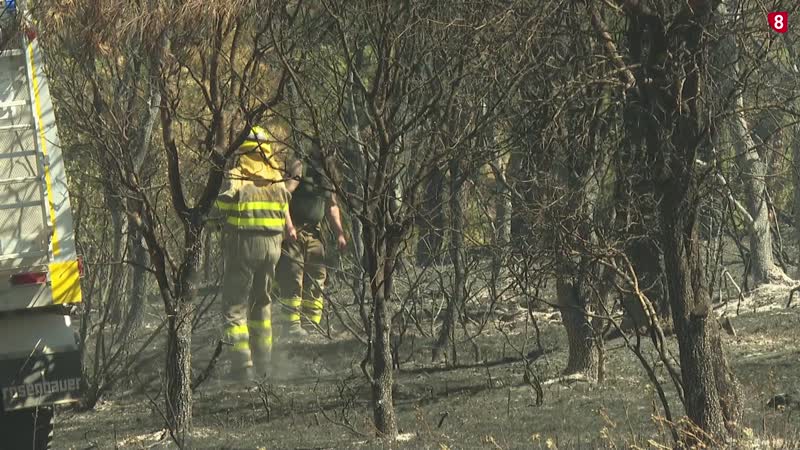  Nueva cuadrilla antiincendios para Almazán