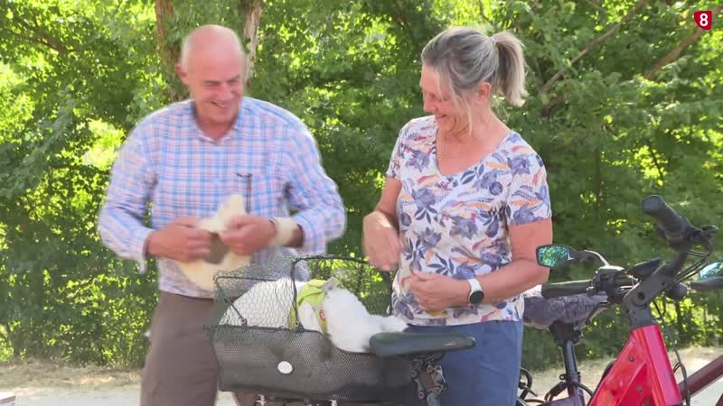 Soria se llena de turistas por la llamada del eclipse
