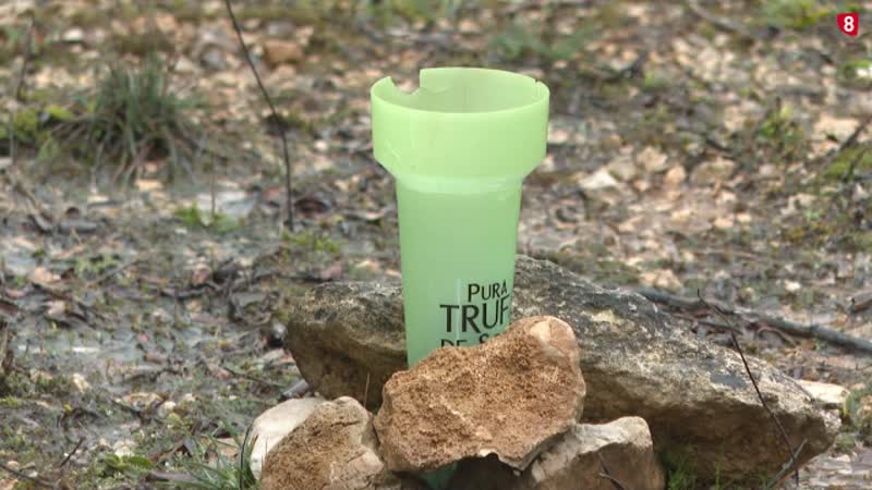 Las inundaciones afectan a los cultivos de trufa en la provincia