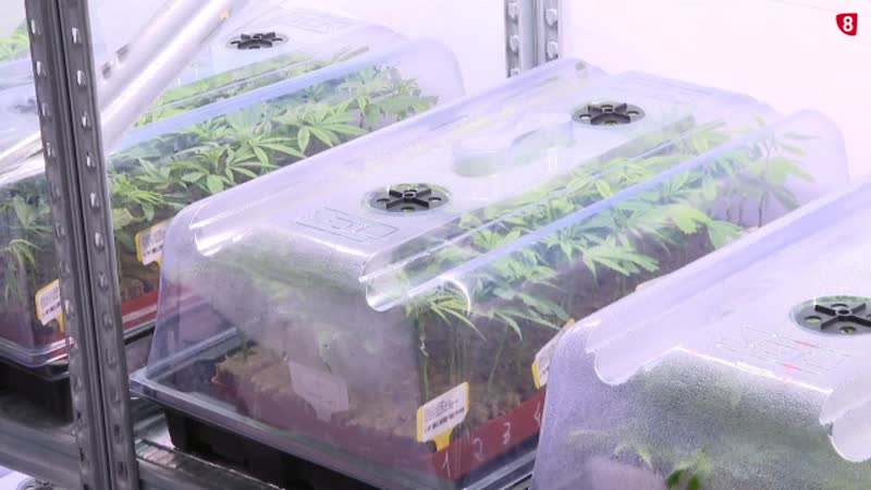 Situación crítica de tesorería en Ondara