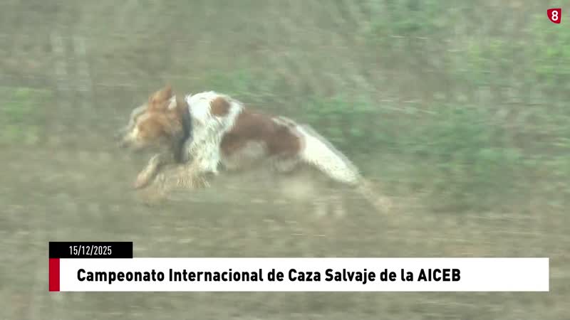 Campeonato Internacional de Caza Salvaje de la AICEB
